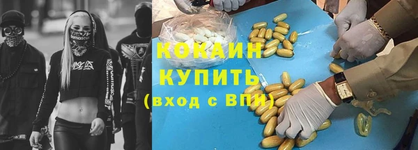 мдпв Шадринск