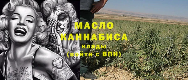 тгк Абаза