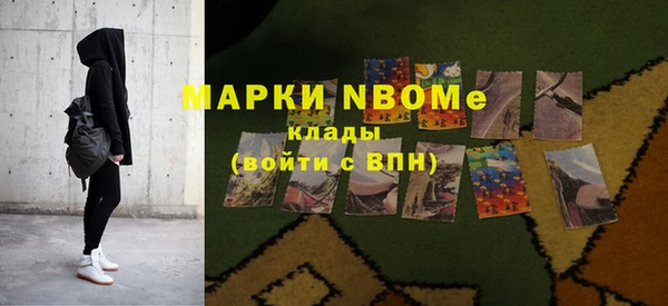 соль ск Надым